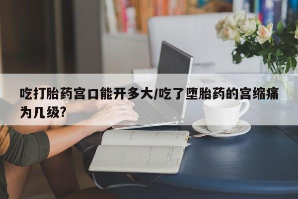 怀孕个月能不能用打胎药动态 第85页