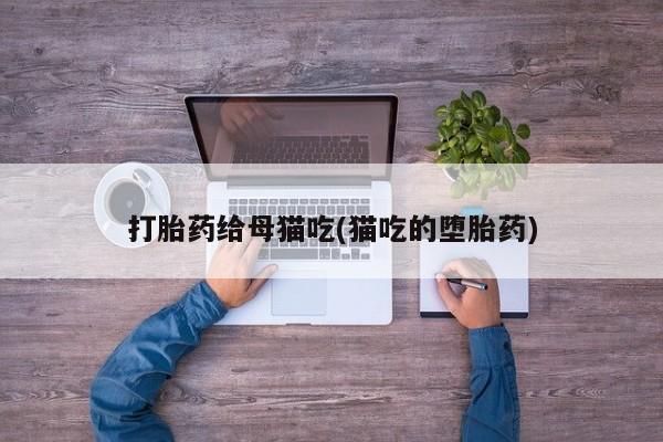 怀孕个月能不能用打胎药打胎药给母猫吃(猫吃的堕胎药)