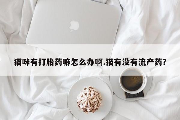 怀孕个月能不能用打胎药猫咪有打胎药嘛怎么办啊.猫有没有流产药？