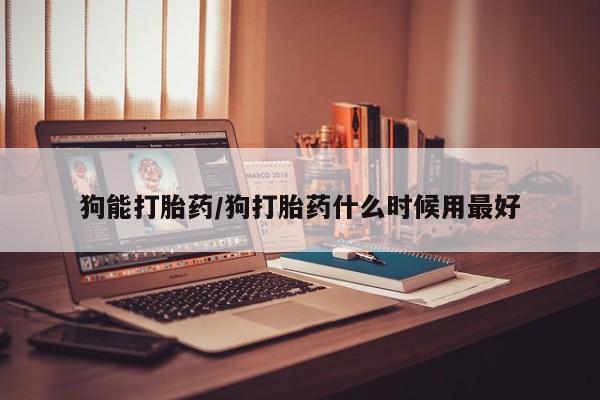 怀孕个月能不能用打胎药狗能打胎药/狗打胎药什么时候用最好