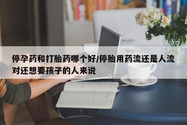 怀孕个月能不能用打胎药停孕药和打胎药哪个好/停胎用药流还是人流对还想要孩子的人来说