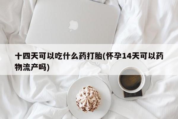 怀孕个月能不能用打胎药十四天可以吃什么药打胎(怀孕14天可以药物流产吗)